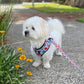 Wild Watermelons Harness