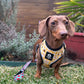 Busy Bees Harness