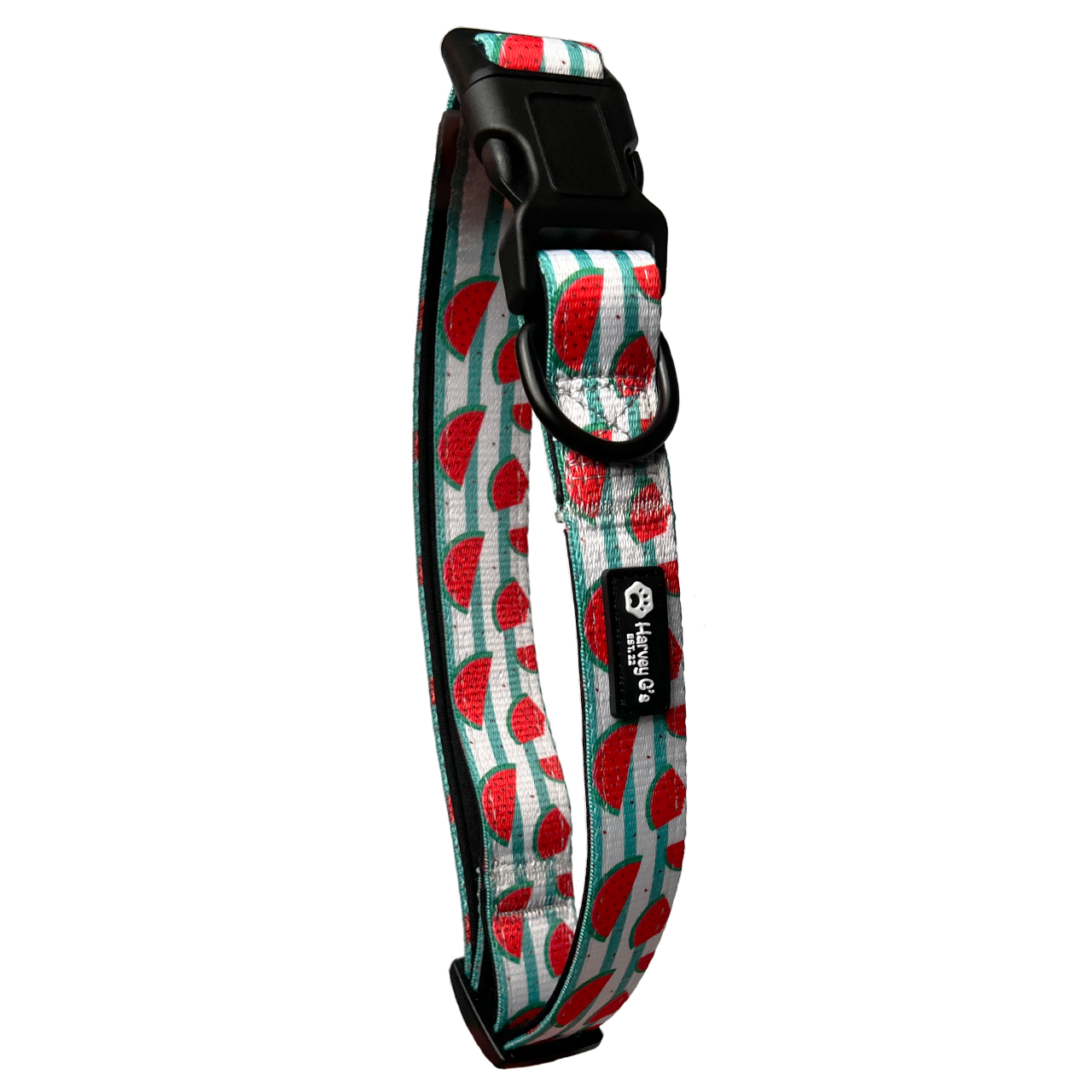 Wild Watermelons Collar